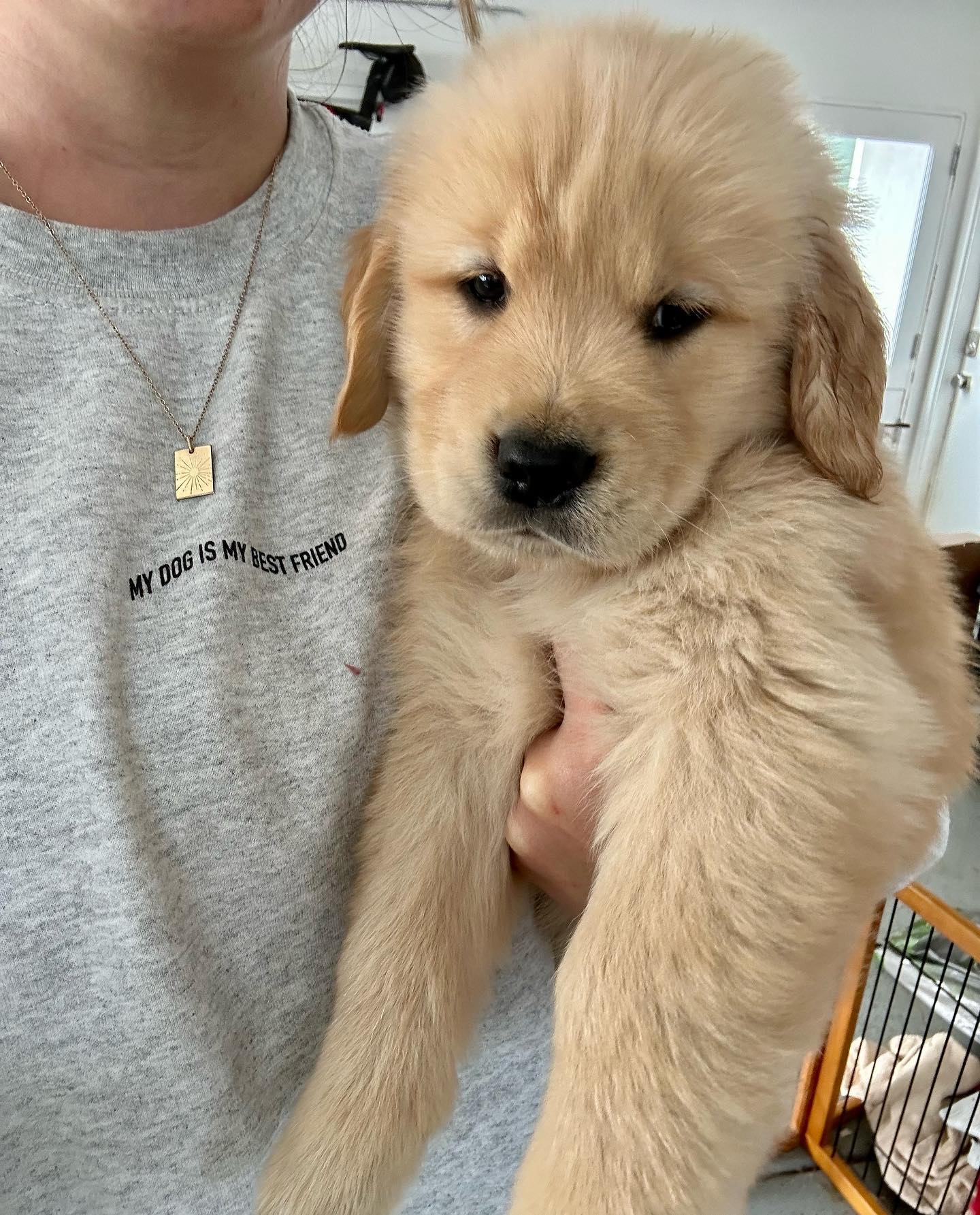 Golden retriever puppy in the arms of someone with a shirt that says 'My dog is my best friend'.